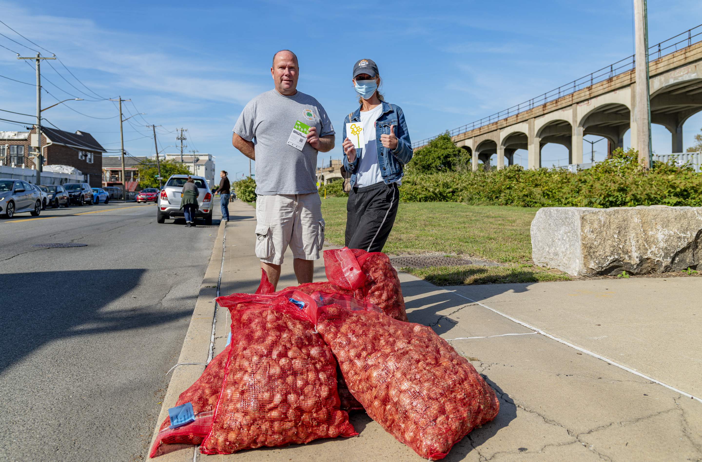 Daffodil Bulbs Giveaway preview