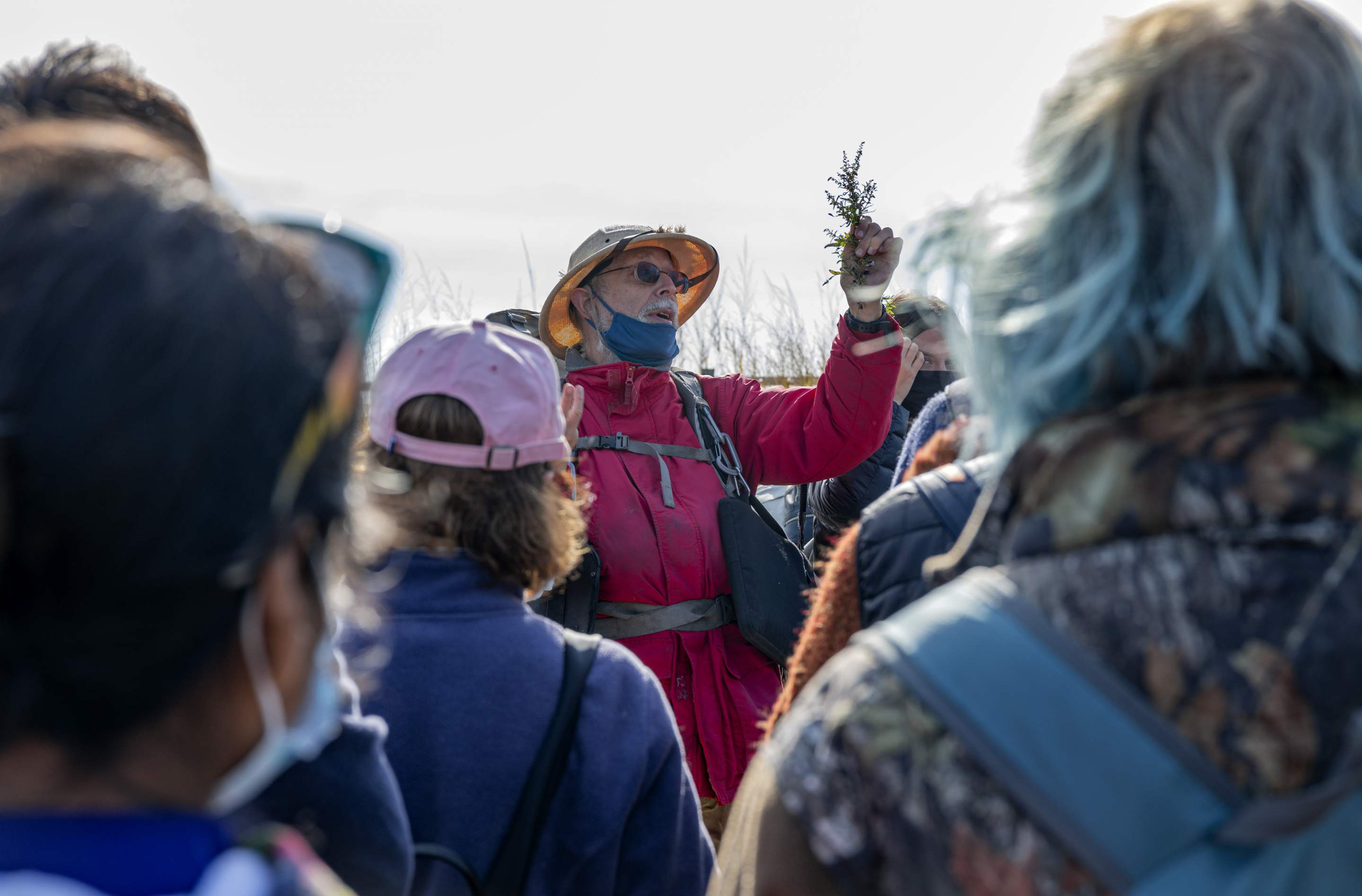 Foraging Tour with "Wildman" Steve Brill preview