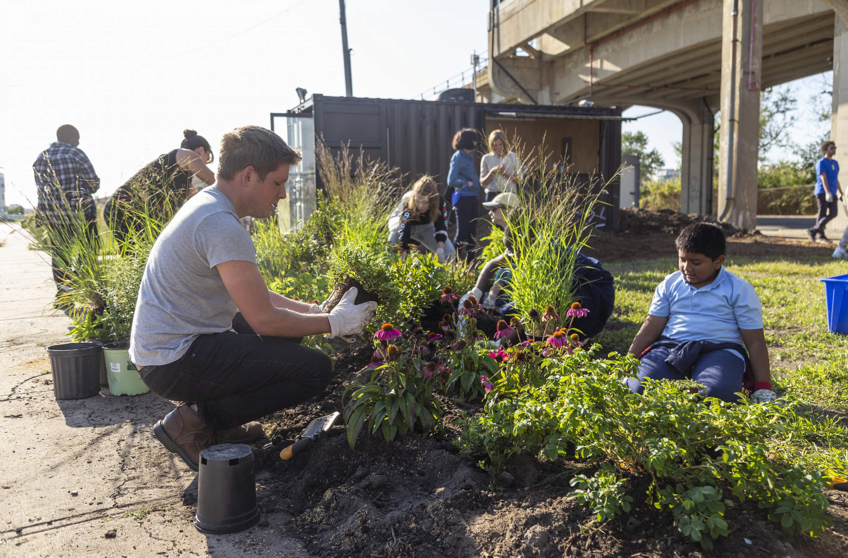 Native Plant Nursery Planting preview