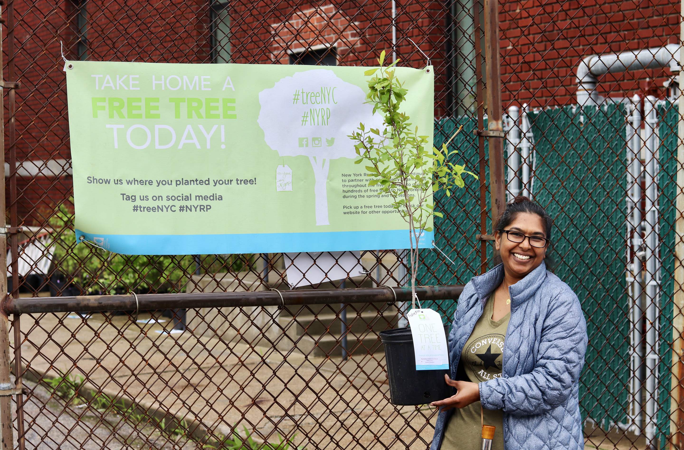 Tree Giveaway preview