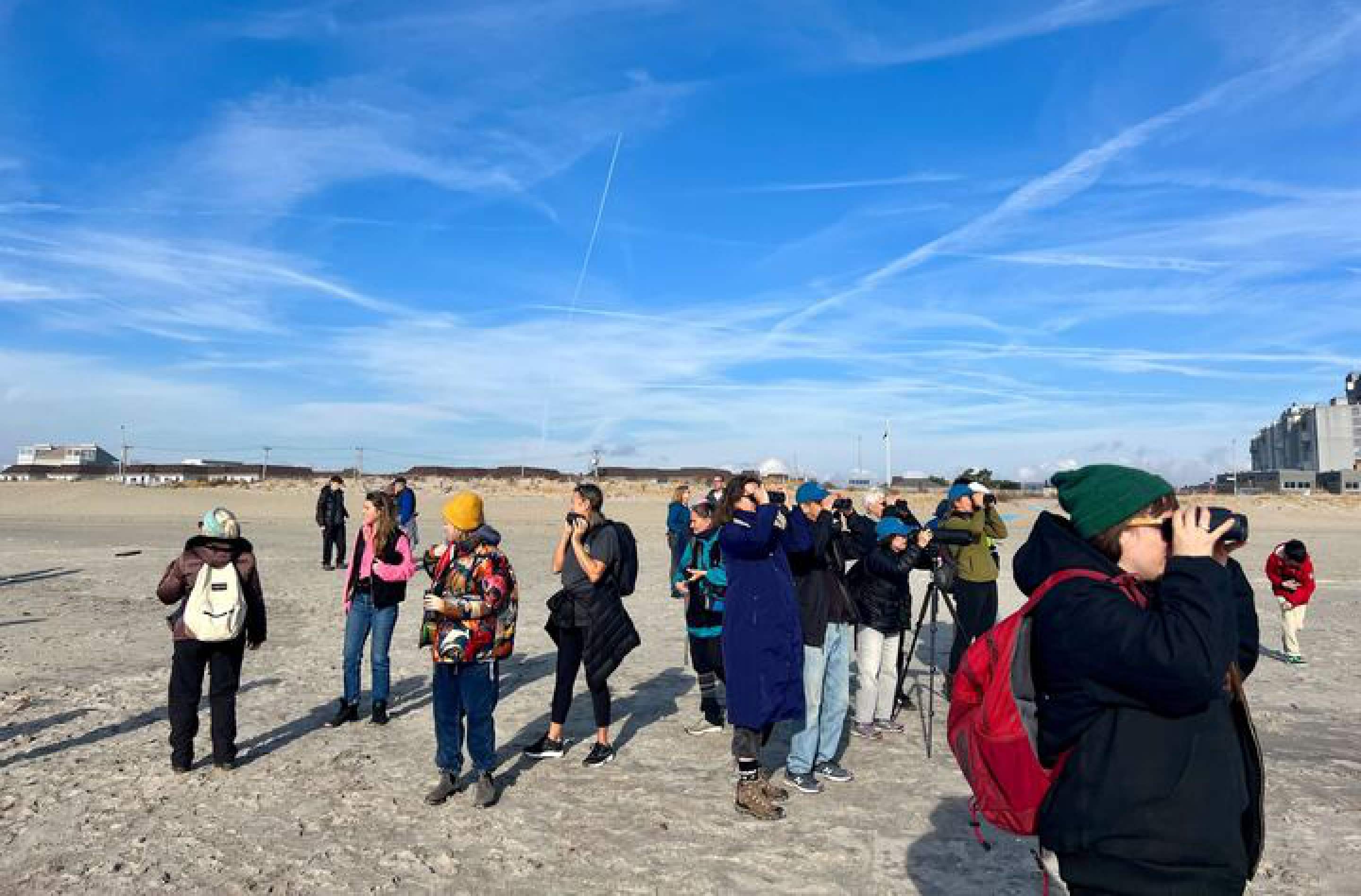 Spring Bird Walk preview