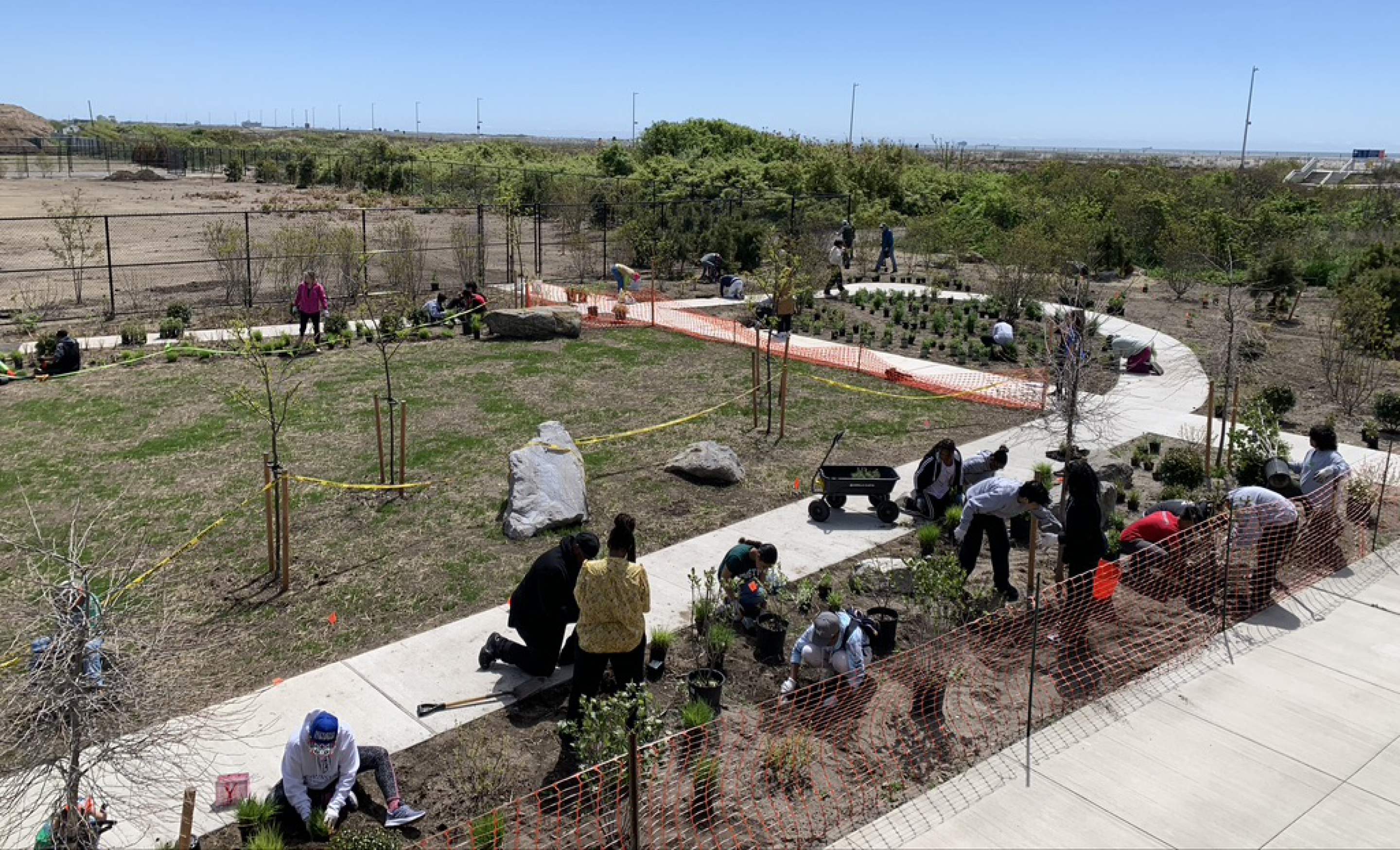 Arverne East Native Plant Nursery preview