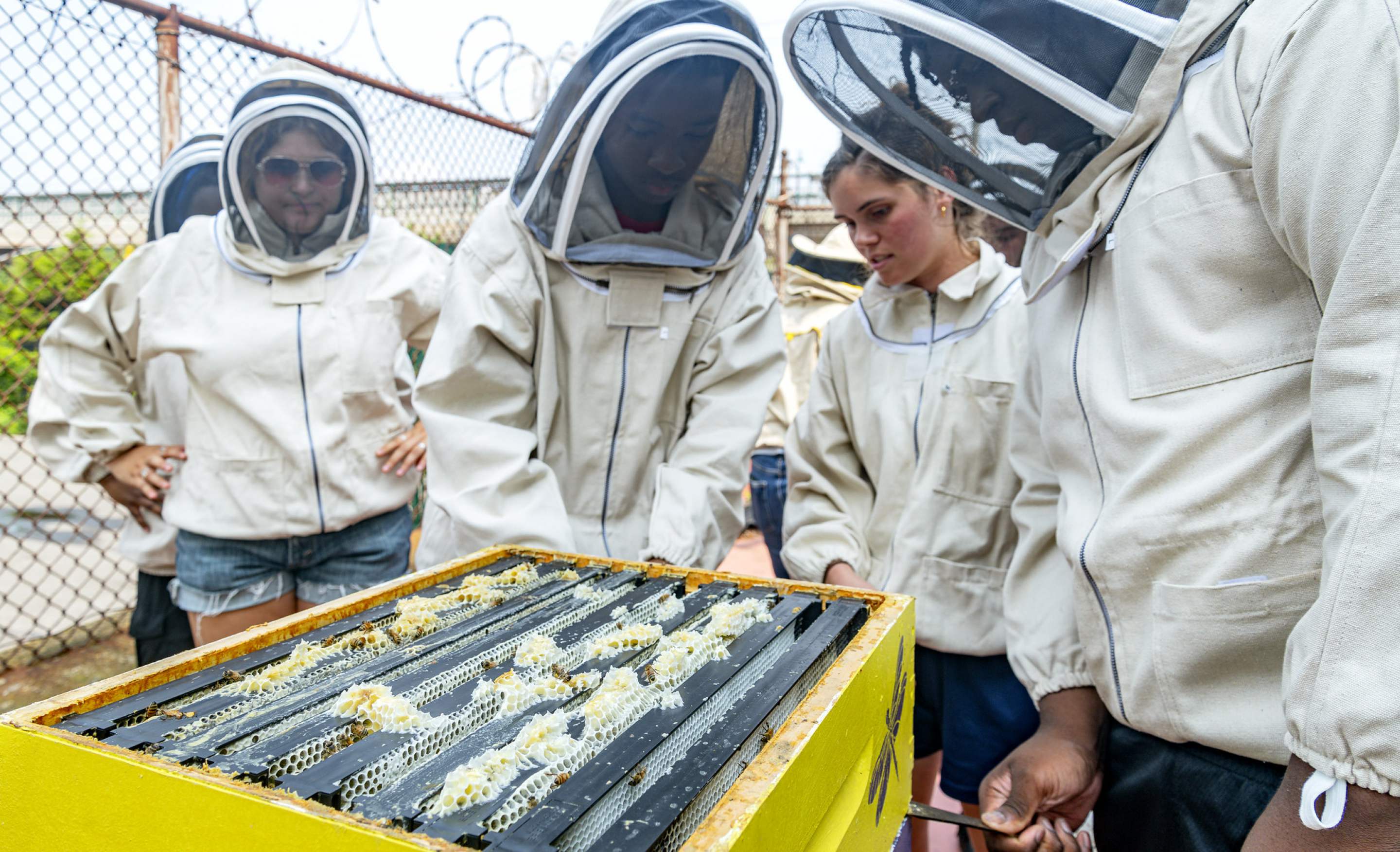 Rockaway Honeyworks/Beekeeping preview