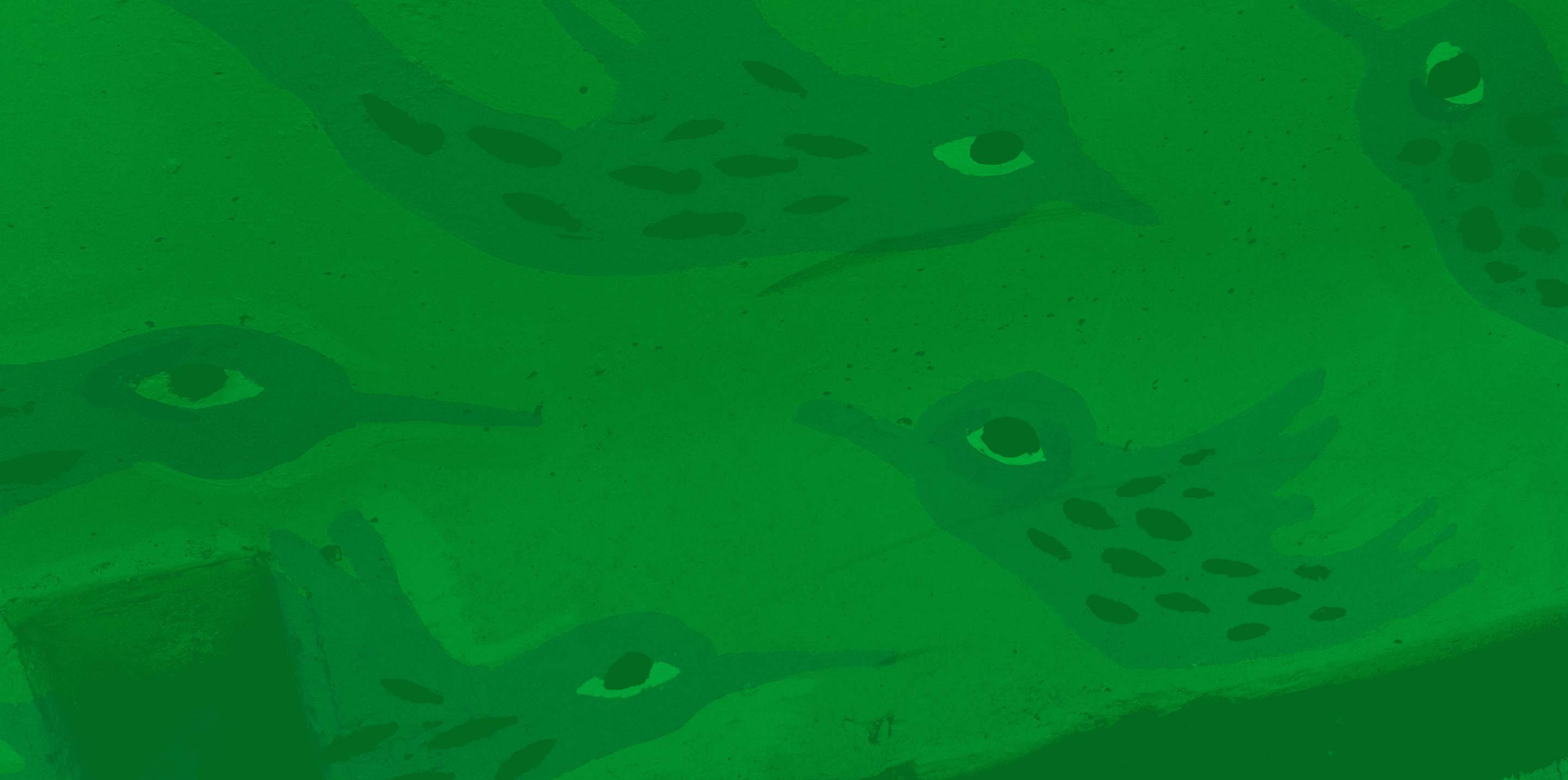 banner background photo