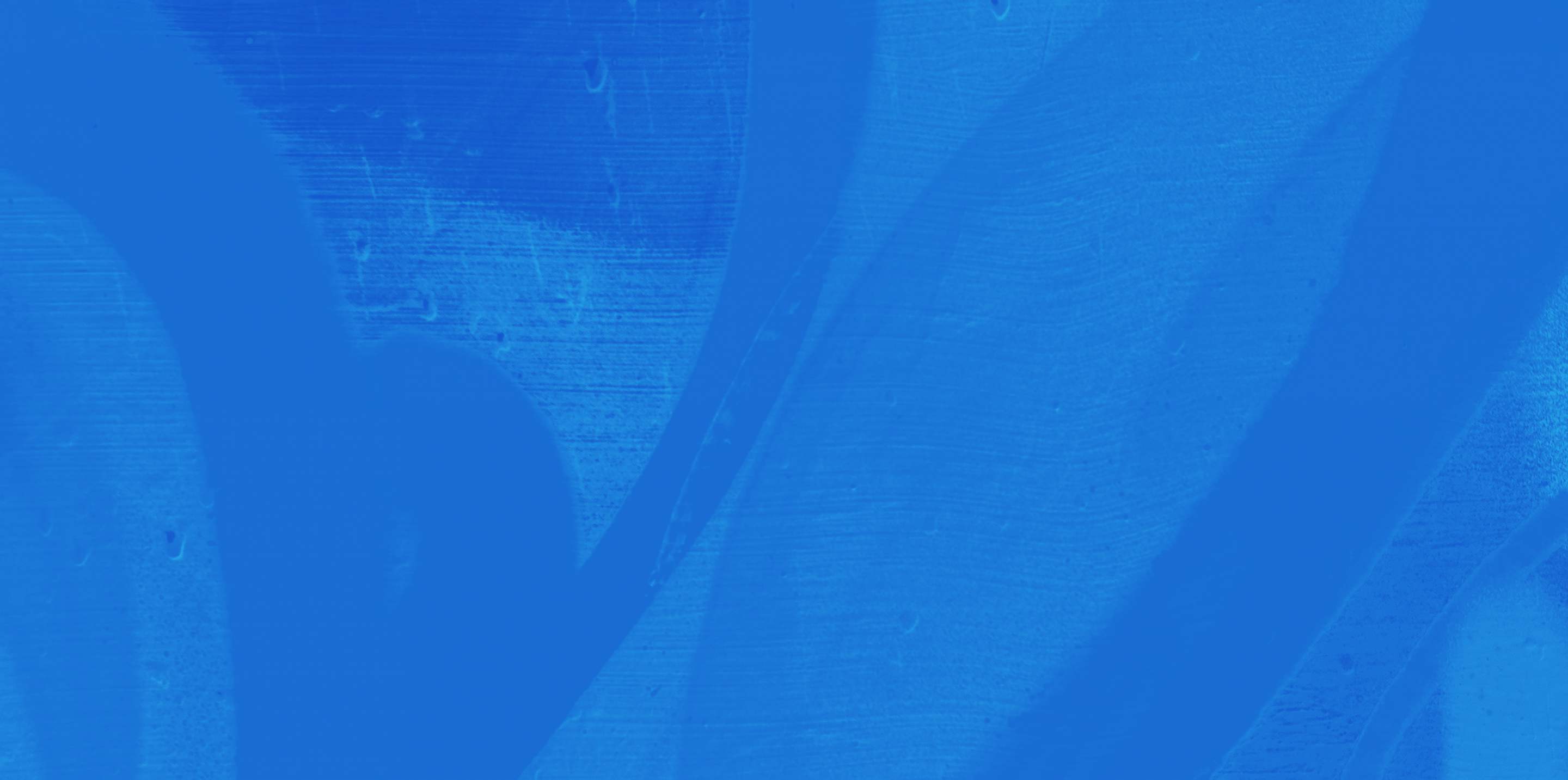 banner background photo