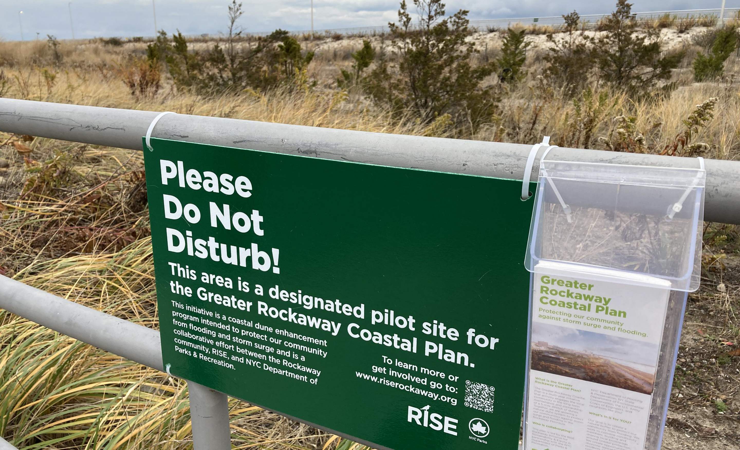 "Dune Squad" Invasive Plant Removal preview