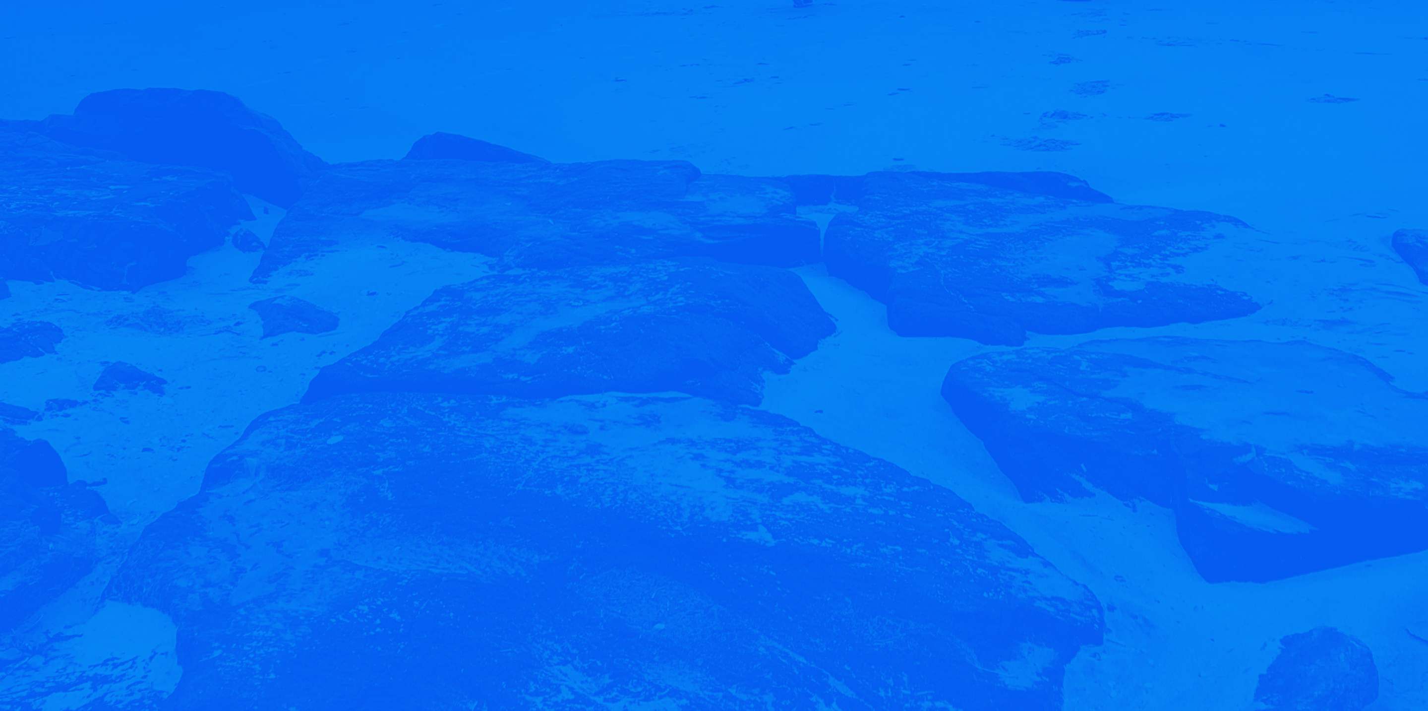 banner background photo