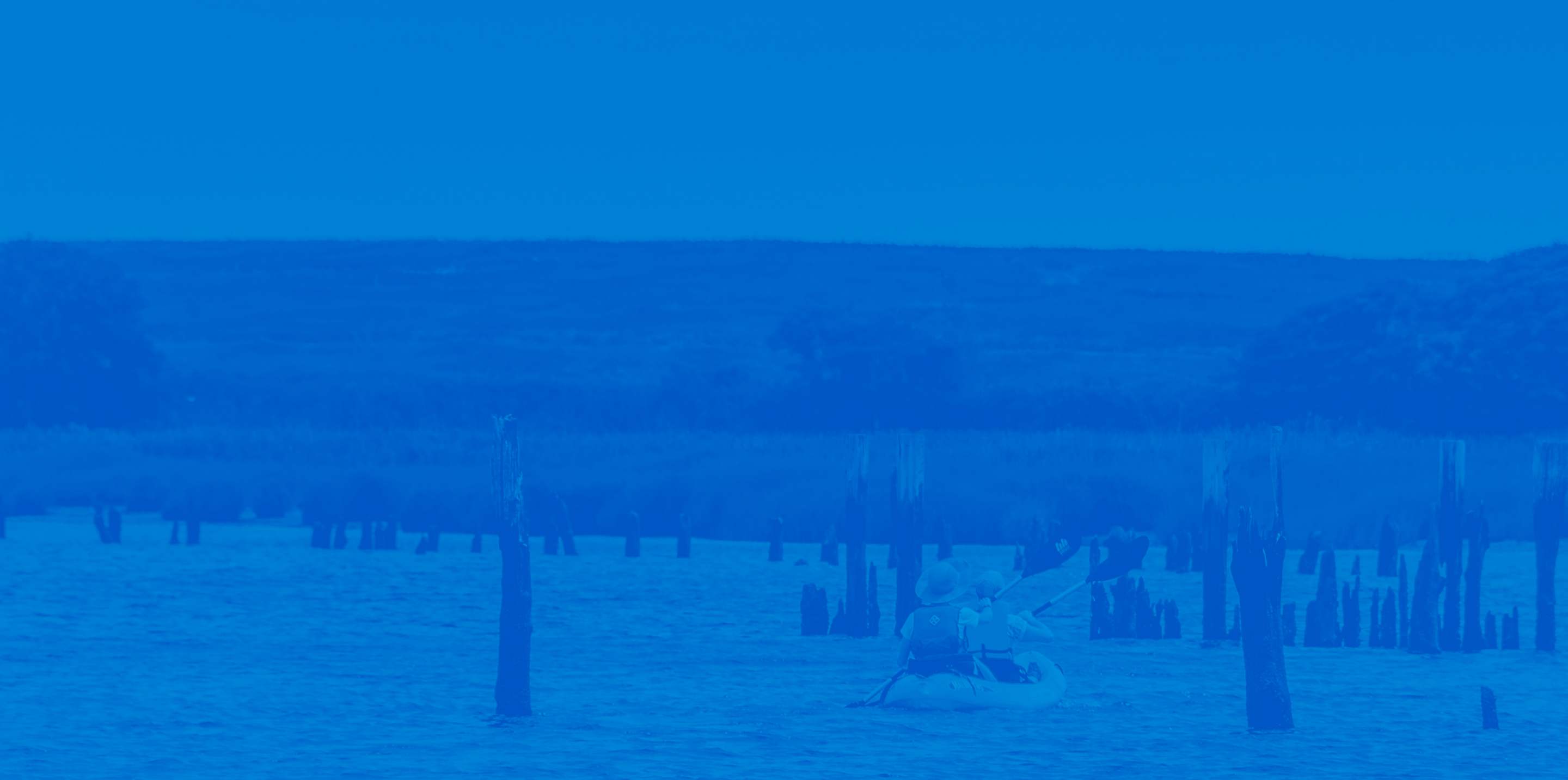banner background photo