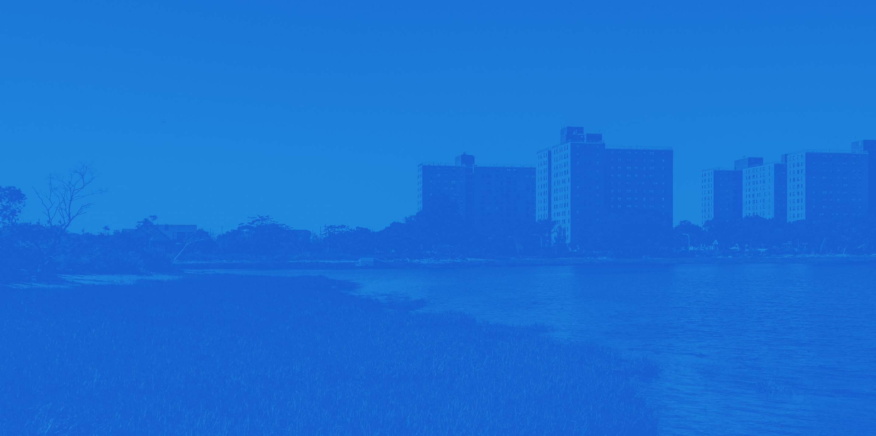 banner background photo